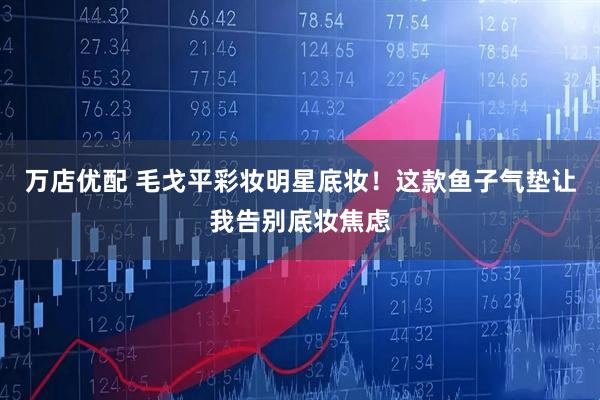 万店优配 毛戈平彩妆明星底妆！这款鱼子气垫让我告别底妆焦虑